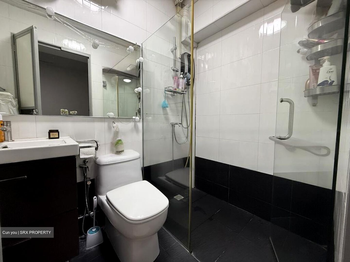 Blk 12 Cantonment Towers (Bukit Merah), HDB 3 Rooms #464102991